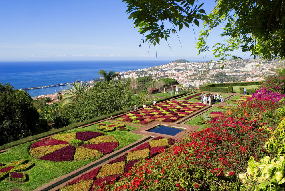 Madeira Botanical Garden - Jardim Botânico da Madeira
